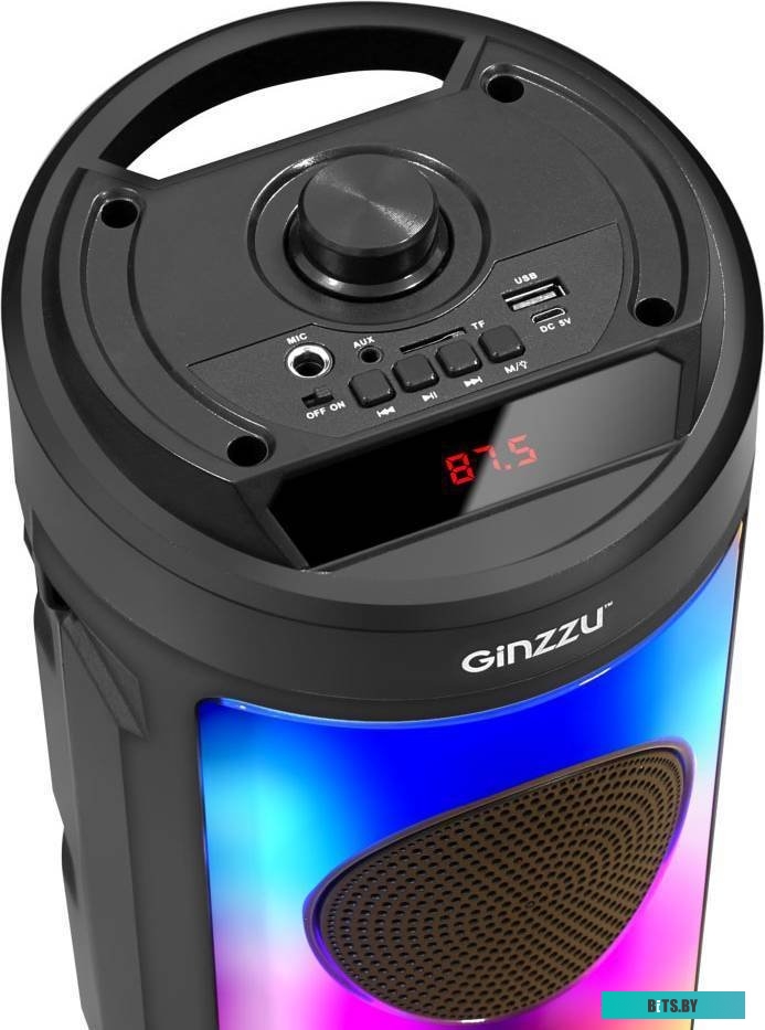 Беспроводная колонка Ginzzu GM-231