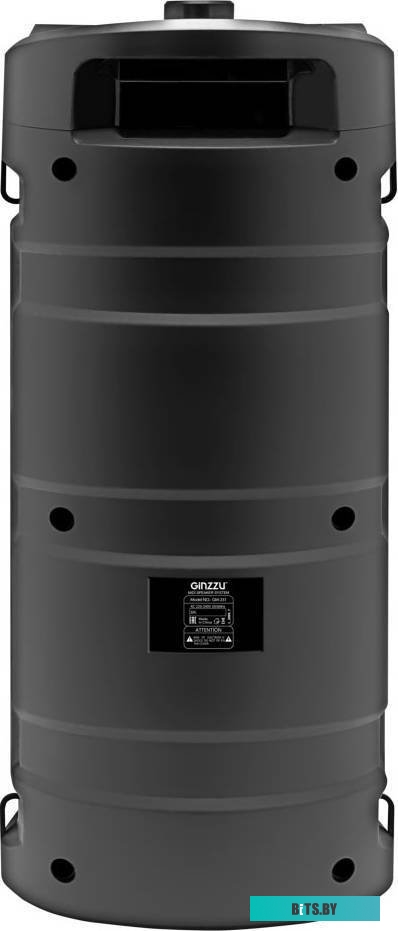 Беспроводная колонка Ginzzu GM-231