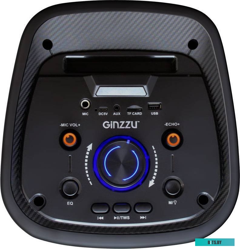 Беспроводная колонка Ginzzu GM-218
