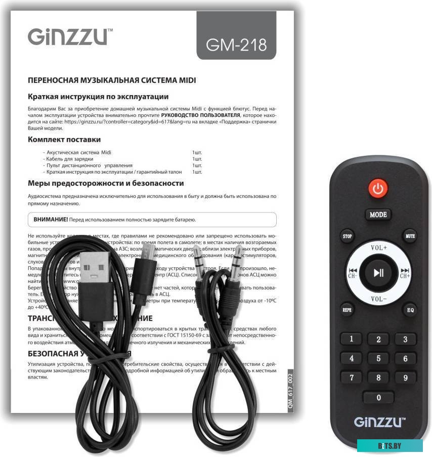 Беспроводная колонка Ginzzu GM-218