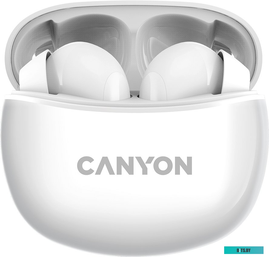 Наушники (Гарнитура) Canyon CNS-TWS5W