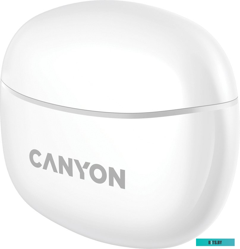 Наушники (Гарнитура) Canyon CNS-TWS5W