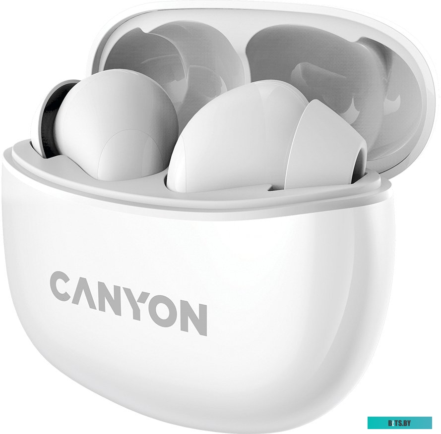 Наушники (Гарнитура) Canyon CNS-TWS5W