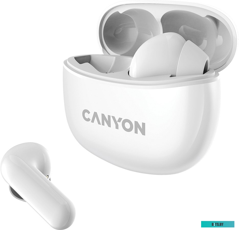 Наушники (Гарнитура) Canyon CNS-TWS5W