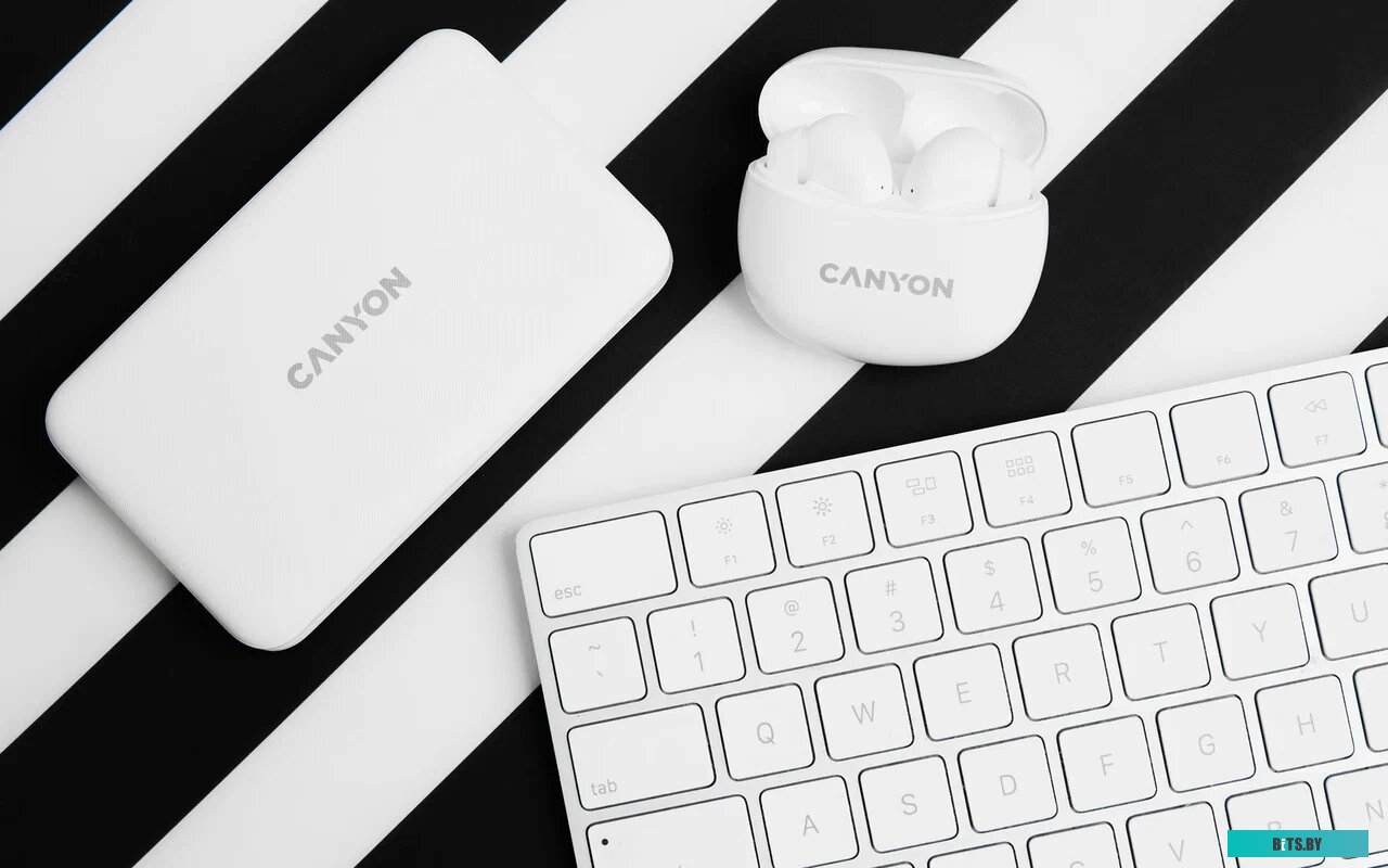 Наушники (Гарнитура) Canyon CNS-TWS5W