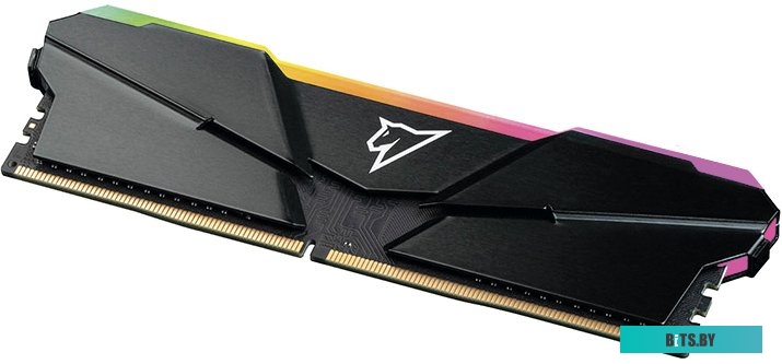 Оперативная память Netac Shadow RGB 16ГБ DDR4 3200 МГц NTSRD4P32SP-16E
