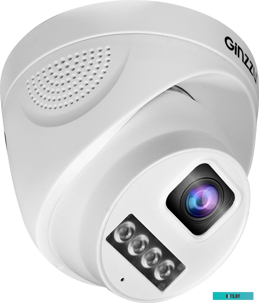 IP-камера Ginzzu HID-4301A