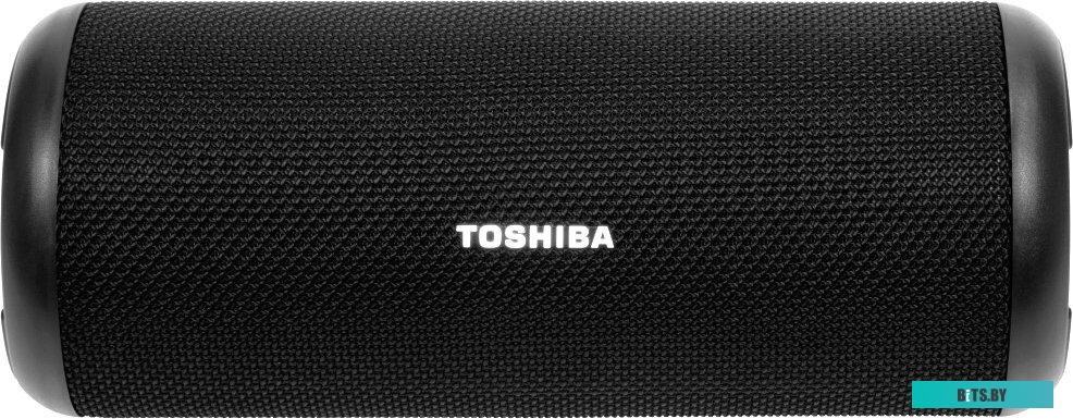 Колонка для вечеринок Toshiba TY-WSP201