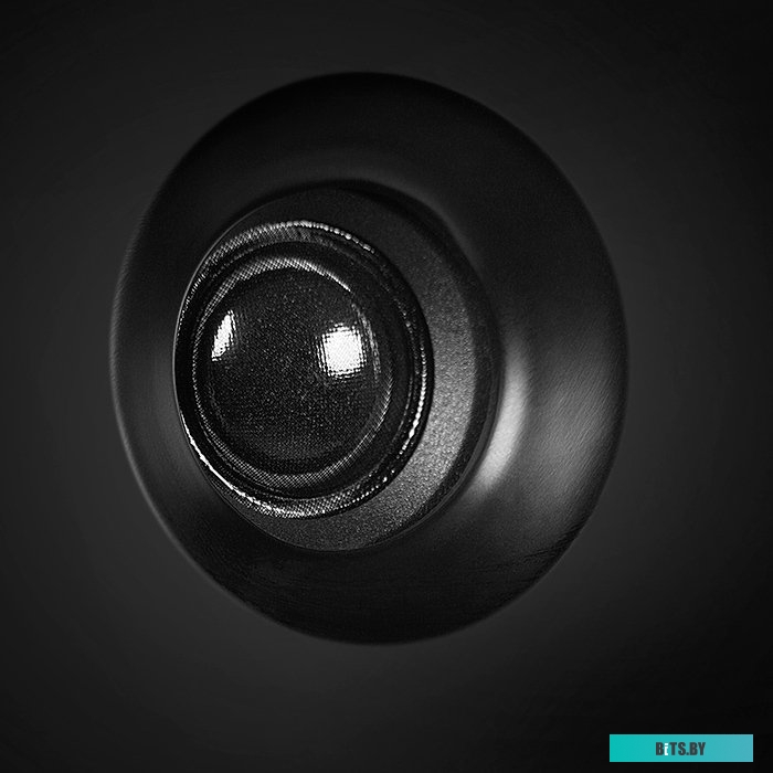 Компьютерные колонки SVEN MC-10 <SV-014018>