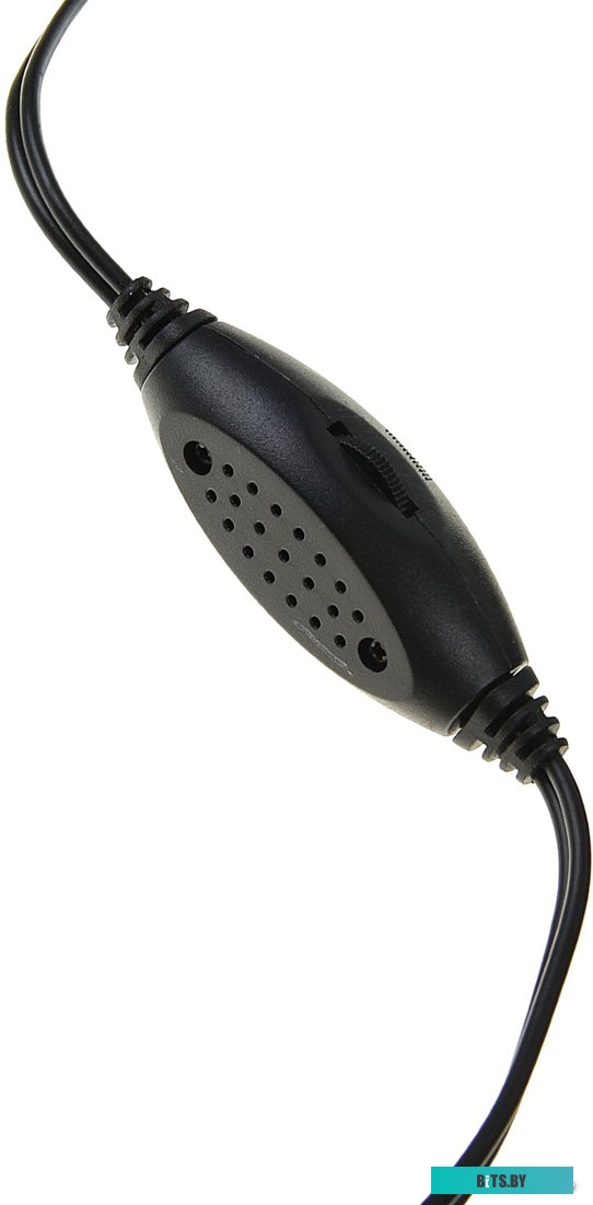 Акустика Gembird SPK-204