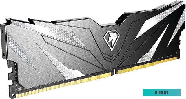 Оперативная память Netac Shadow II Black 8ГБ DDR4 3600МГц NTSWD4P36SP-08K