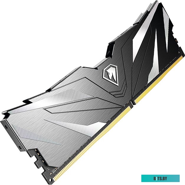Оперативная память Netac Shadow II Black 8ГБ DDR4 3600МГц NTSWD4P36SP-08K