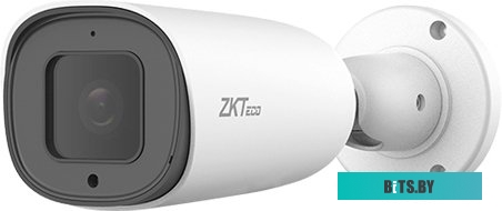 IP-камера Zkteco BL-854N38A-E3