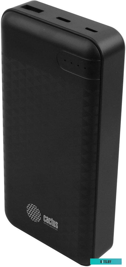 Портативное зарядное устройство Cactus CS-PBFSET-20000 (черный)