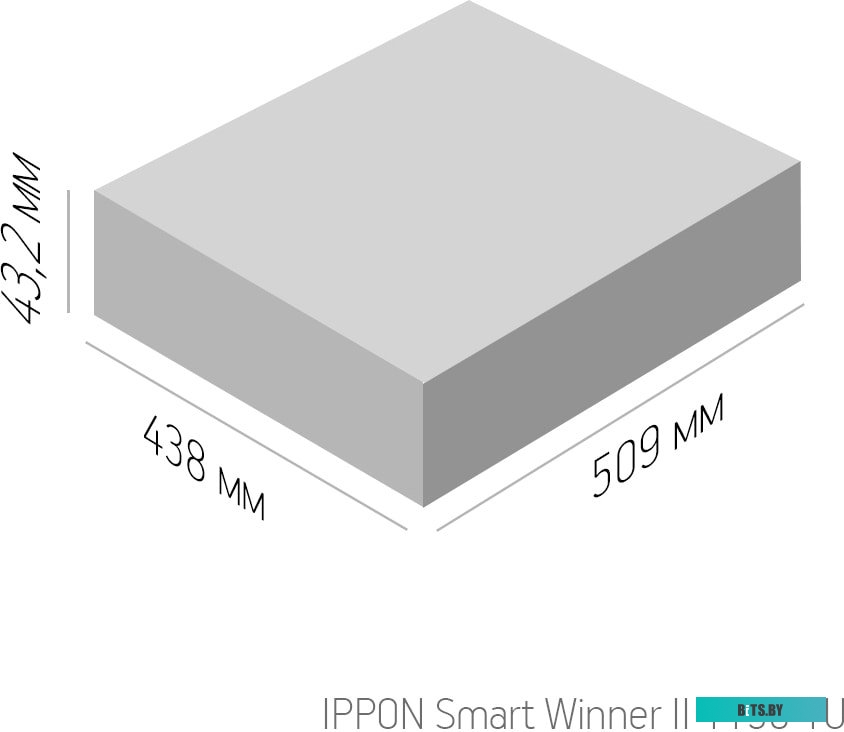 Источник бесперебойного питания (ИБП) Ippon Smart Winner II 1150 1U 1384149