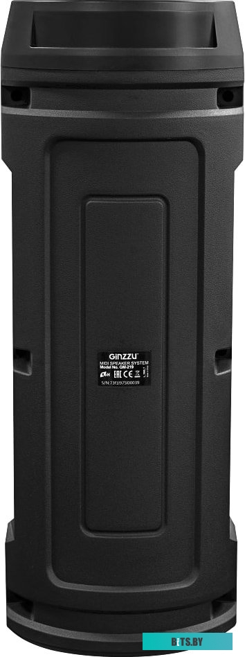 Колонка для вечеринок Ginzzu GM-219