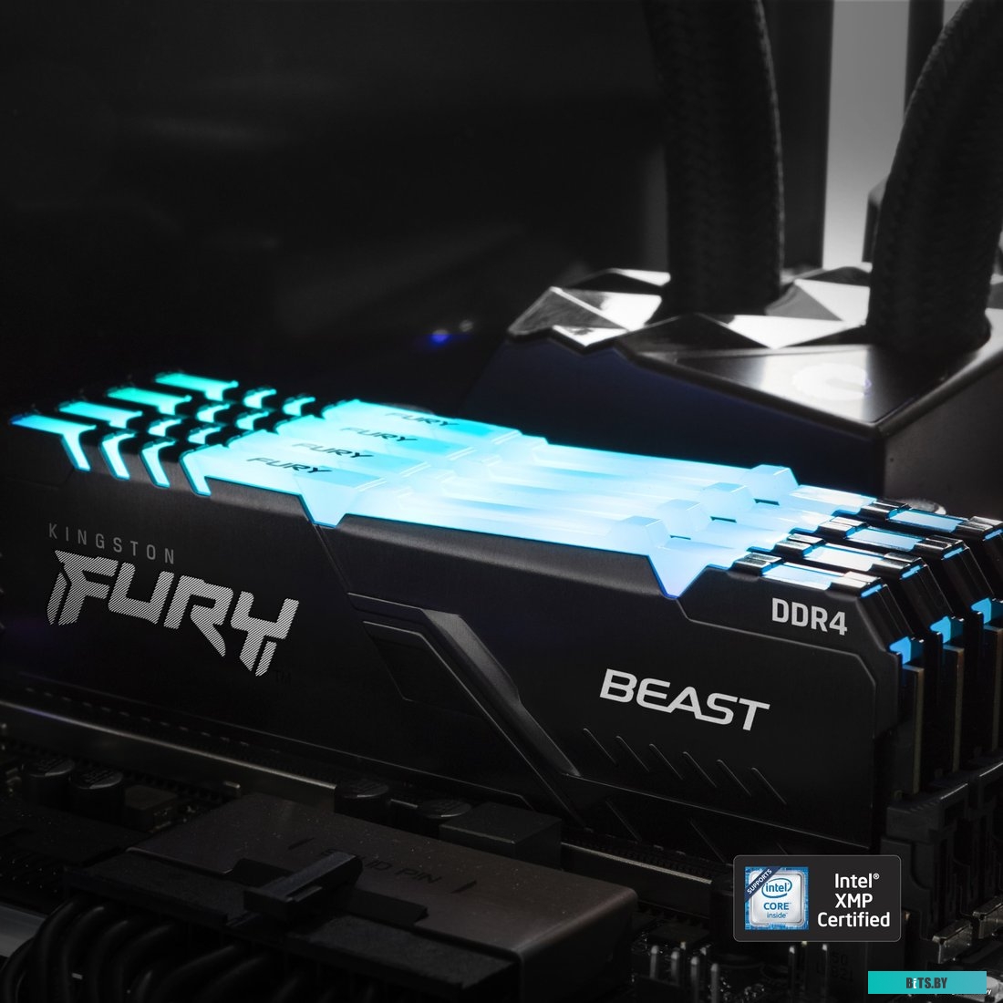 Модуль памяти Kingston FURY Beast RGB 8GB DDR4 PC4-28800 KF436C17BBA/8