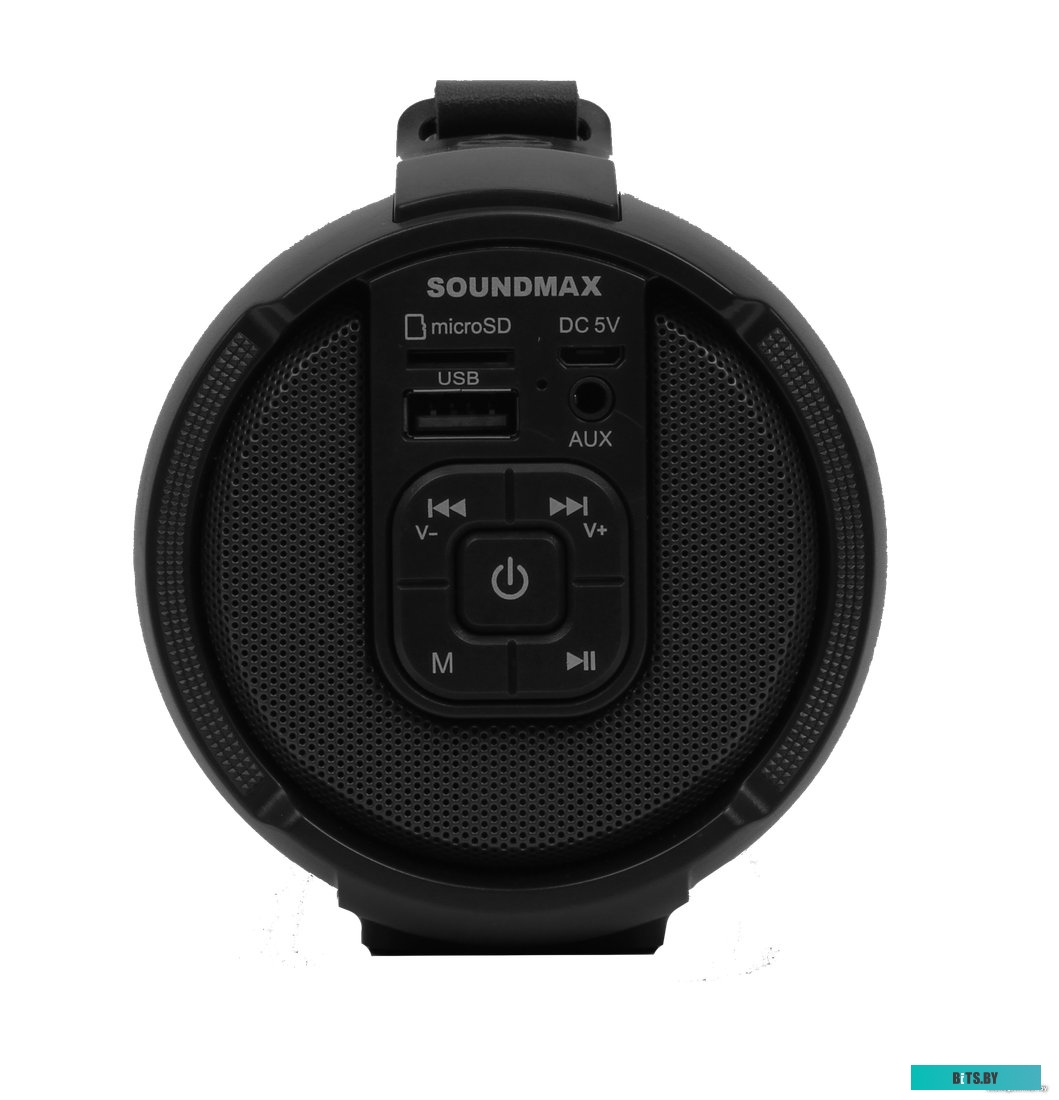 Беспроводная колонка Soundmax SM-PS5020B (черный)