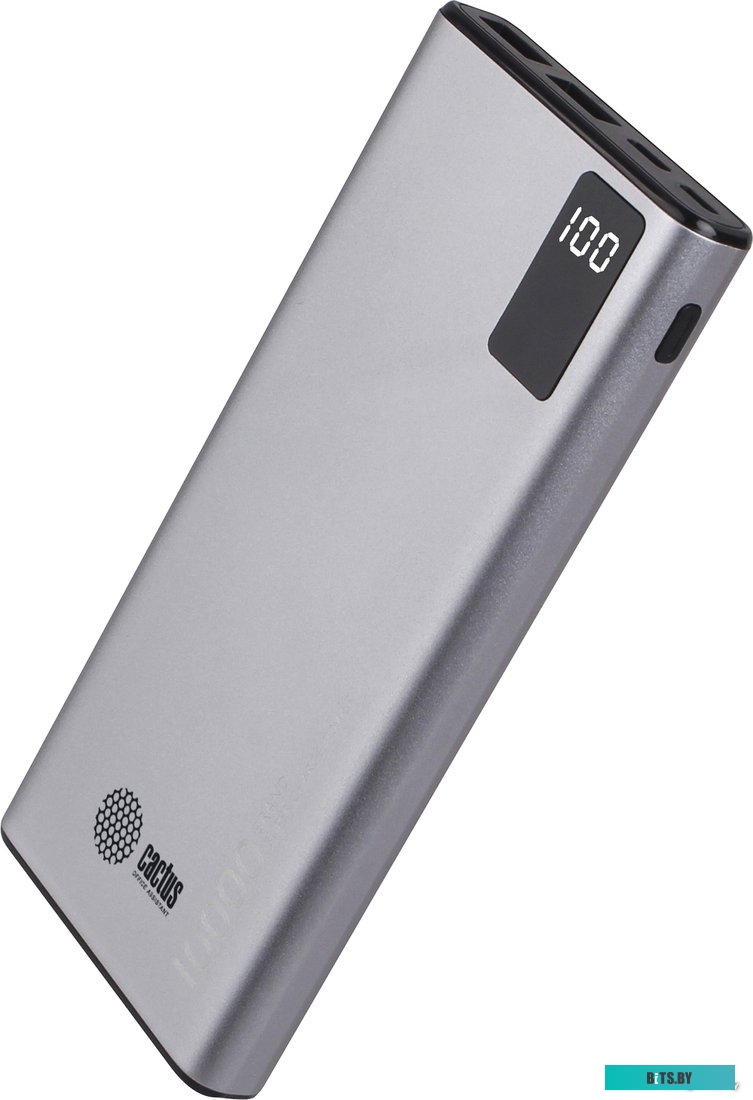 Портативное зарядное устройство Cactus CS-PBFSLT-10000 (серый)