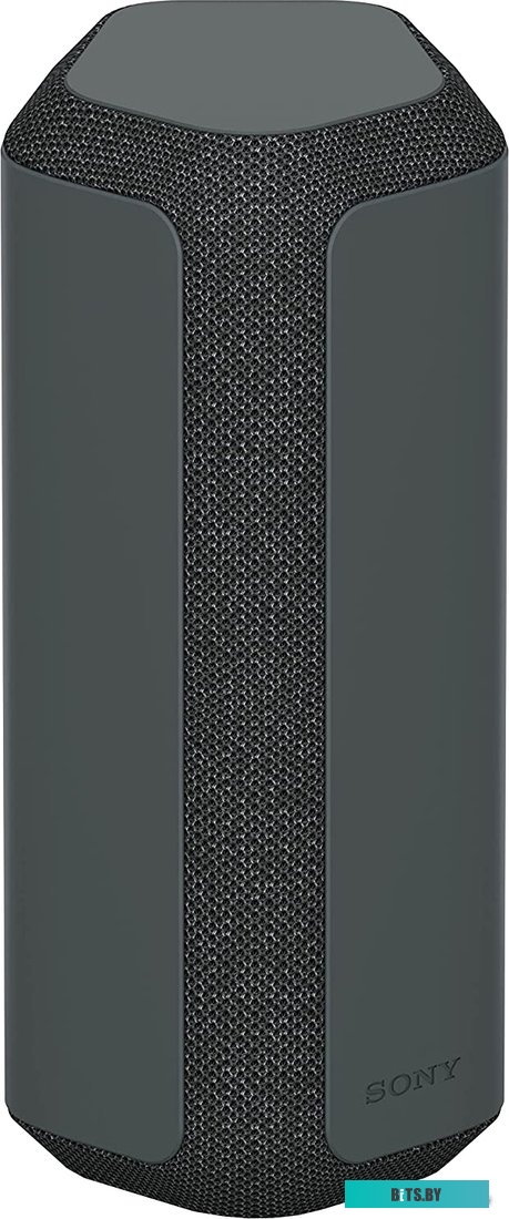 Беспроводная колонка Sony SRS-XE300 (черный) <SRS-XE300/BCE>