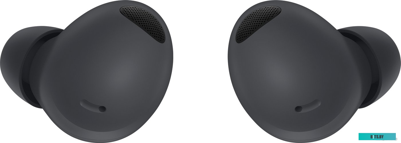 Наушники Samsung Galaxy Buds 2 Pro (графитовый) <SM-R510NZAACIS>