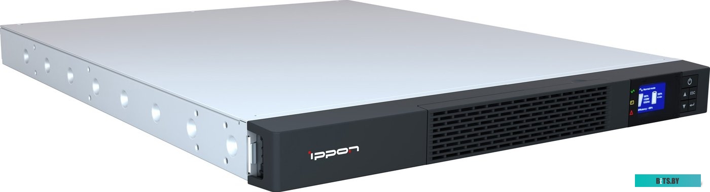 Источник бесперебойного питания (ИБП) Ippon Smart Winner II 1550 <1384148>