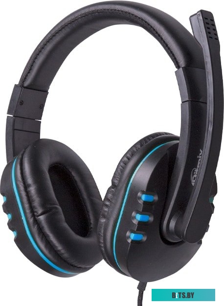 Наушники (Гарнитура) Ritmix RH-555M (черный/синий)