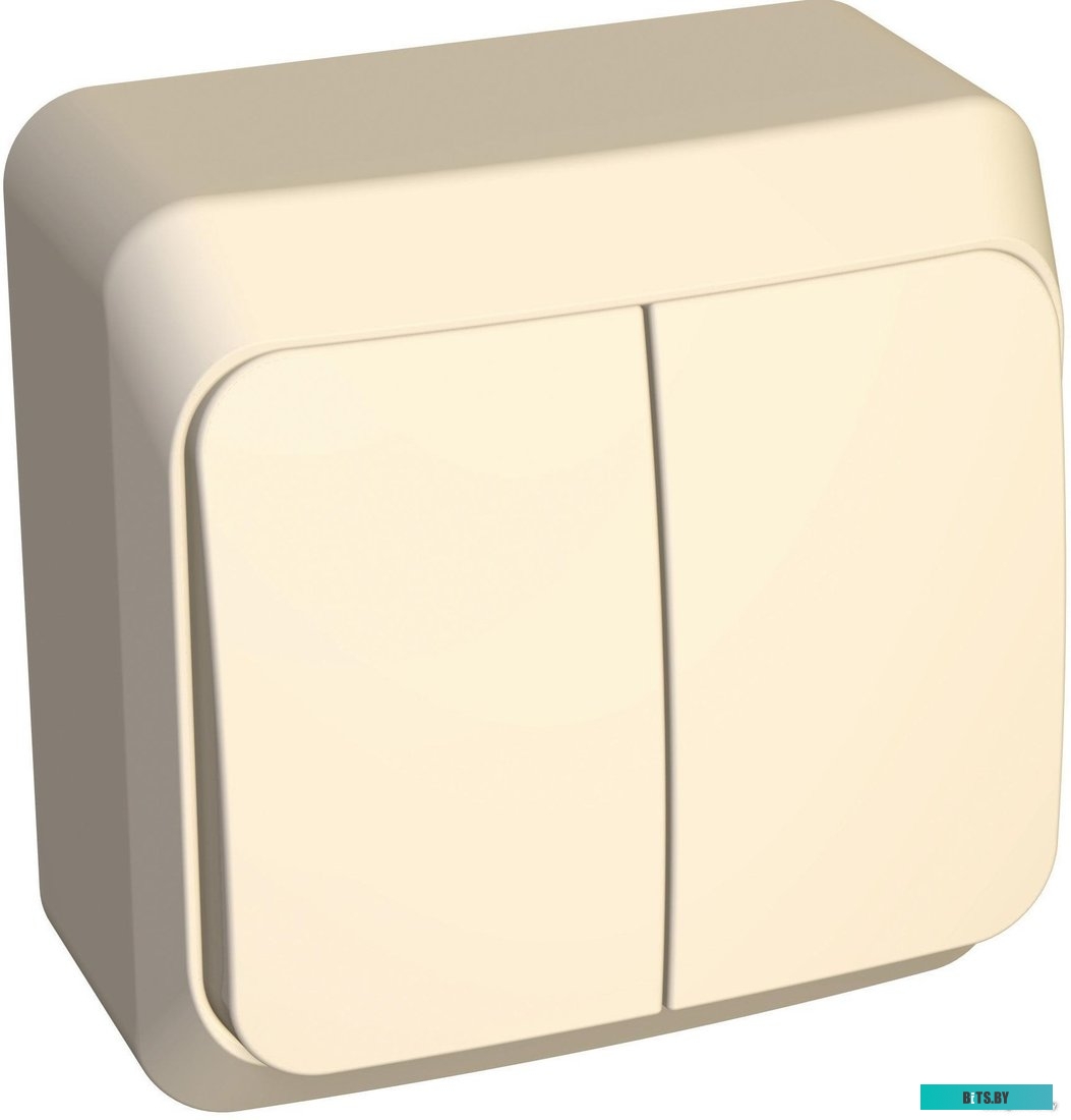 Выключатель Schneider Electric Этюд BA10-002K