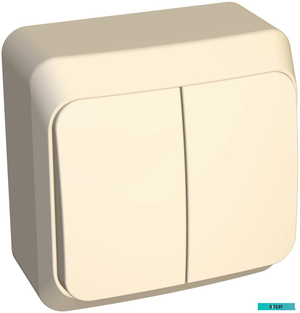 Выключатель Schneider Electric Этюд BA10-006K
