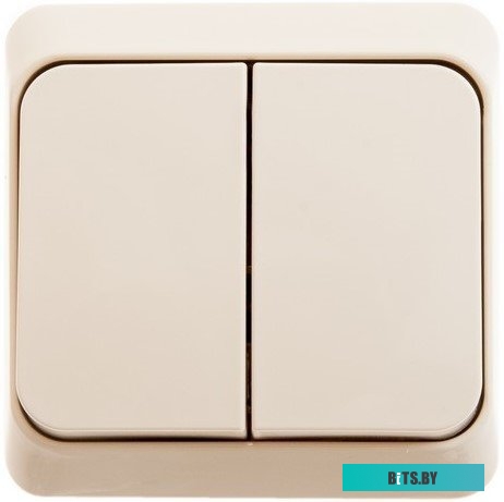 Выключатель Schneider Electric Этюд BA10-006K