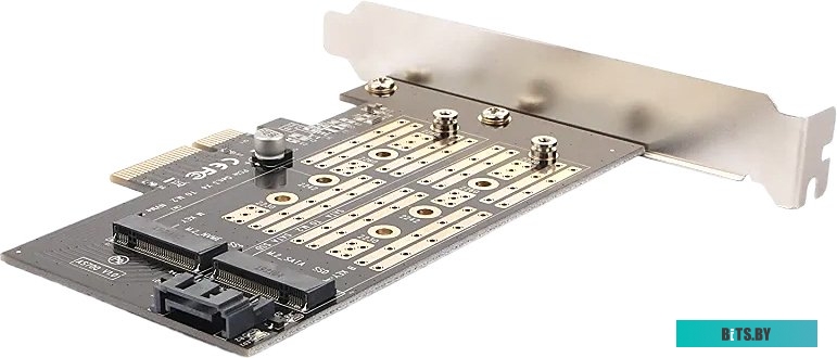AgeStar  Адаптер-переходник PCI-Ex. x4 --> M.2 NVMe + M.2 SATA "AgeStar" [AS-MC02]
