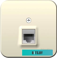 Розетка телефонная Schneider Electric Blanca BLNIA011002
