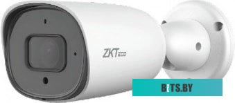 IP-камера ZKTeco BL-858M48S