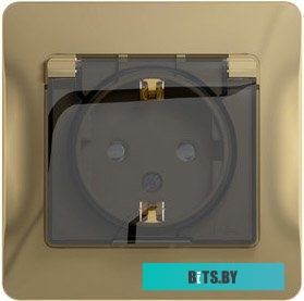 Розетка Schneider Electric Glossa GSL000448 (титан)