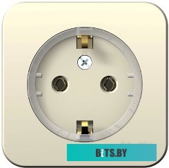 Розетка Schneider Electric Blanca BLNRA110112