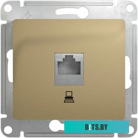 Розетка Schneider Electric Glossa GSL000481K (титан)