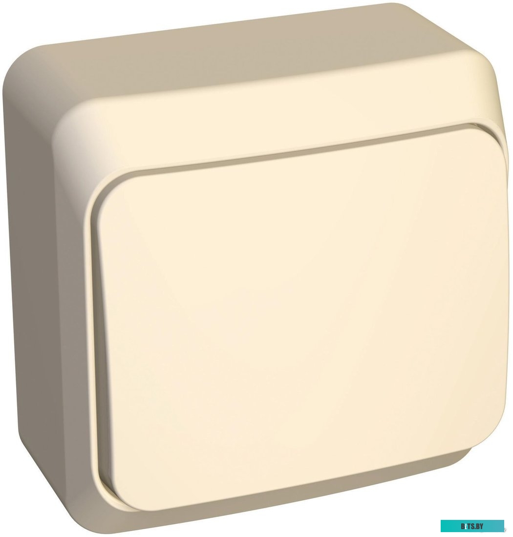 Выключатель Schneider Electric Этюд BA10-001K