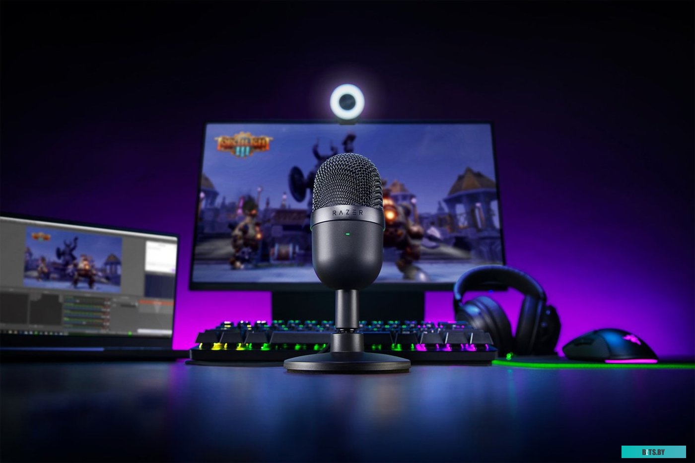 Микрофон Razer Seiren Mini черный <RZ19-03450100-R3M1>