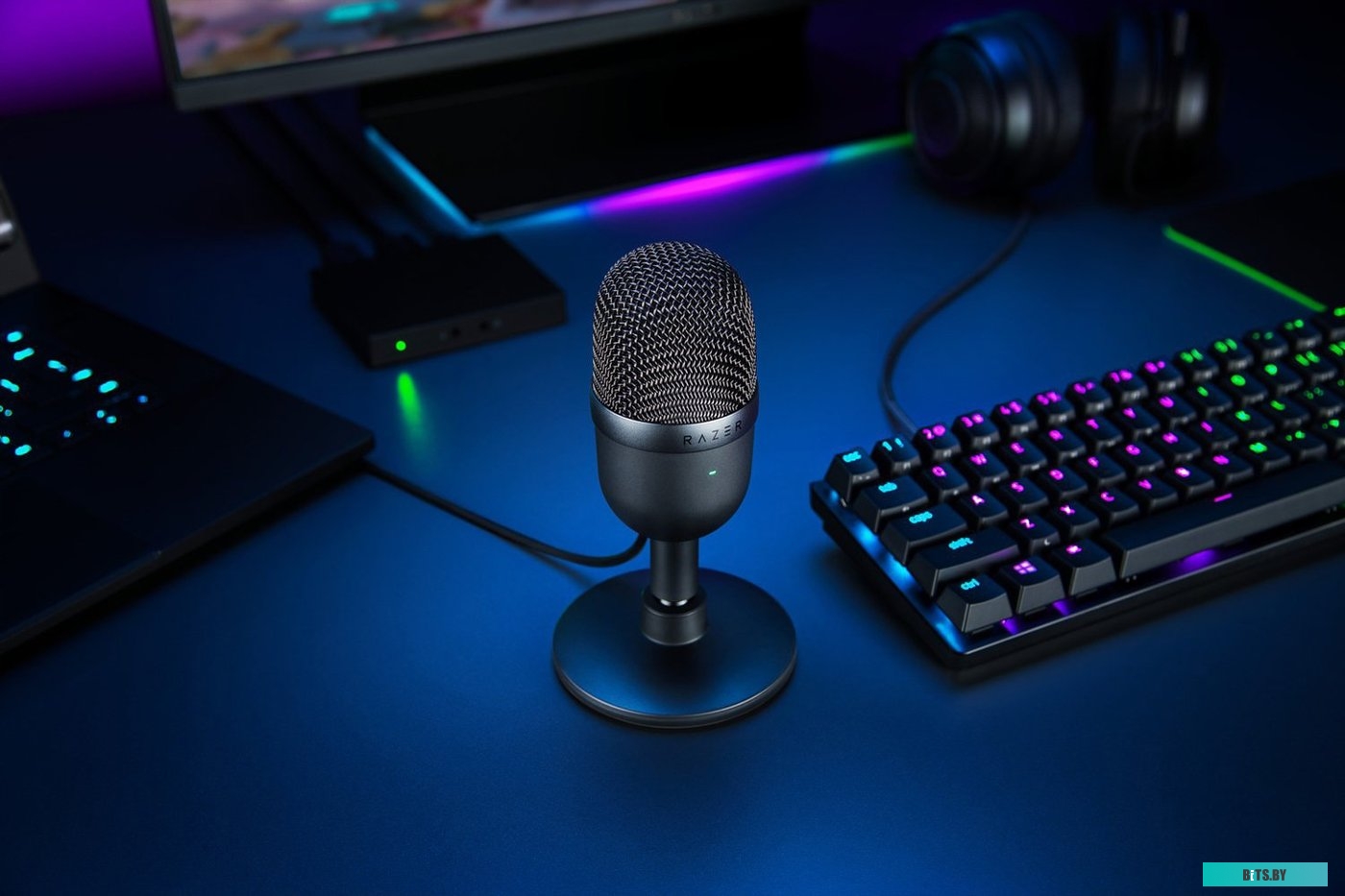 Микрофон Razer Seiren Mini черный <RZ19-03450100-R3M1>