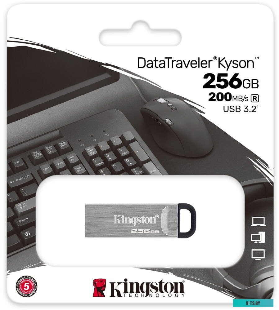 USB накопитель (Флешка) Kingston Kyson 256GB <DTKN/256GB>