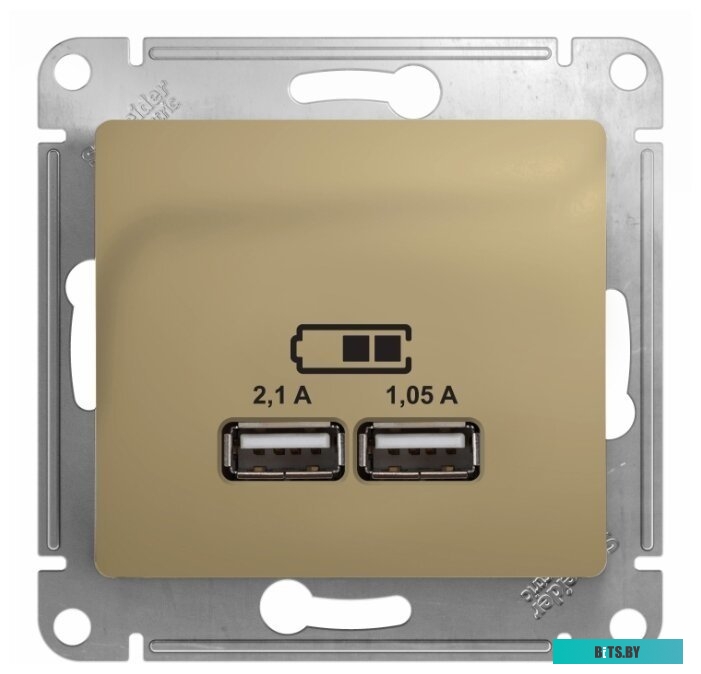 Розетка Schneider Electric Glossa GSL000433