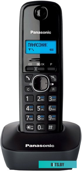Радиотелефон Panasonic KX-TG1611RUH