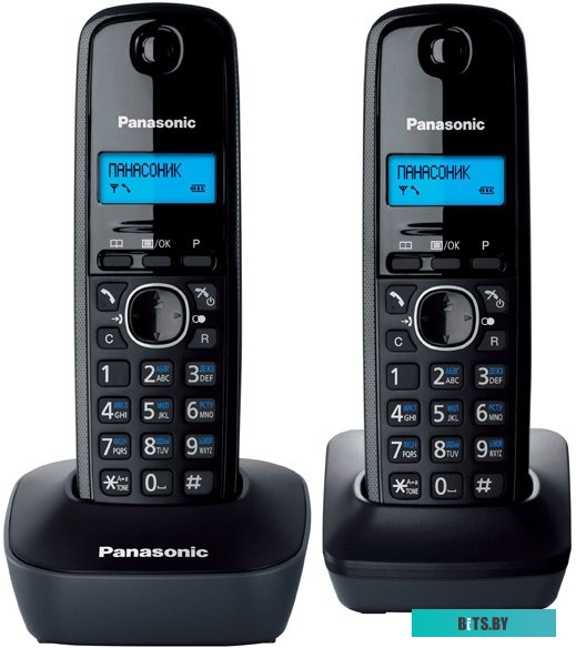 Радиотелефон Panasonic KX-TG1612RUH