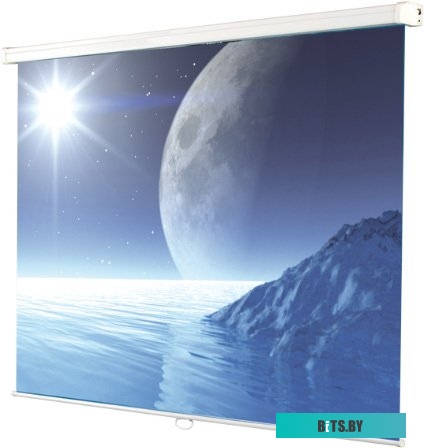 Экран для проекторов Ligra Ecoroll 203x203 [043243]