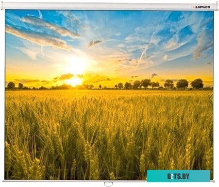 Экран для проекторов Lumien Eco Picture 198x300 LEP-100120