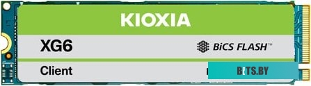 SSD Накопитель Kioxia XG6 256GB KXG60ZNV256GBTYLGA