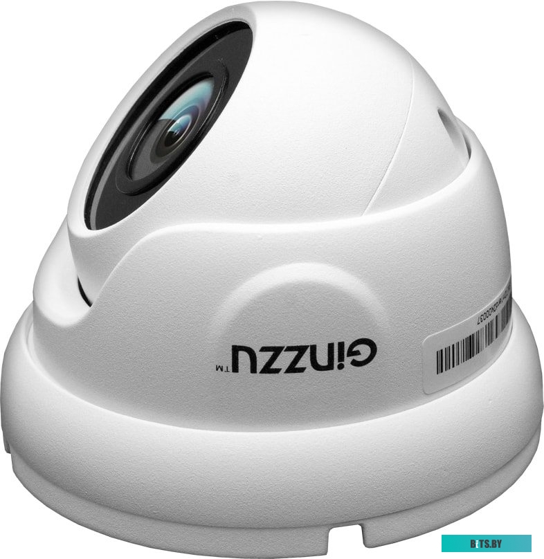 IP-камера Ginzzu HID-2302A