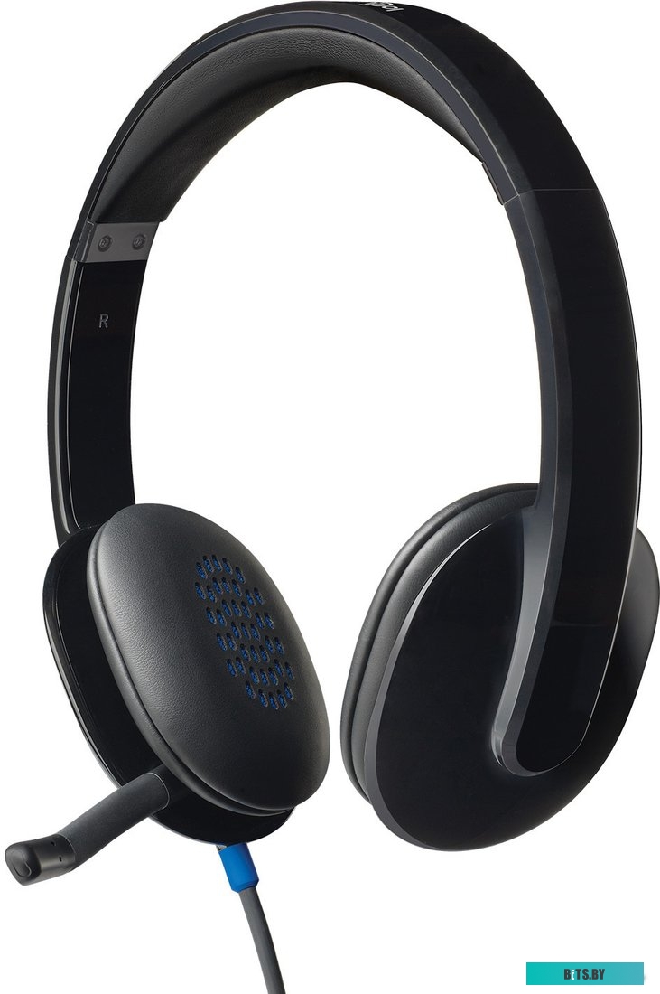 Наушники (Гарнитура) Logitech USB Headset H540 (981-000480)