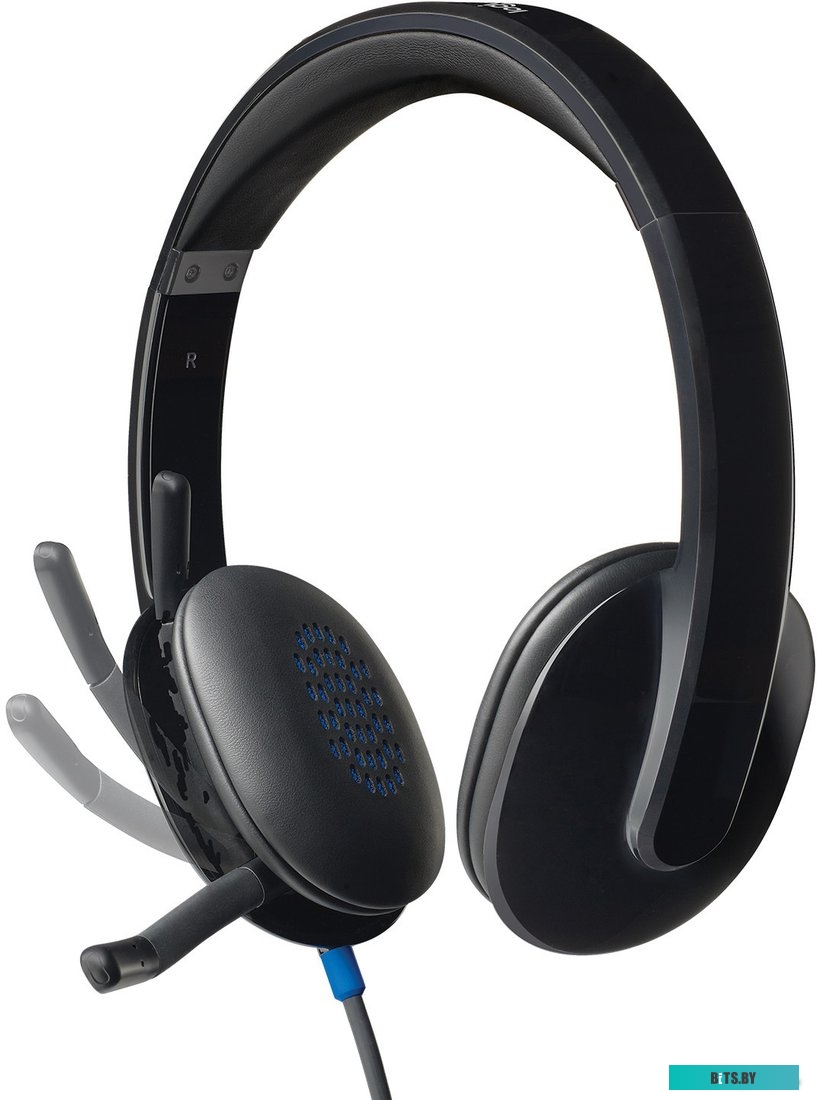 Наушники (Гарнитура) Logitech USB Headset H540 (981-000480)