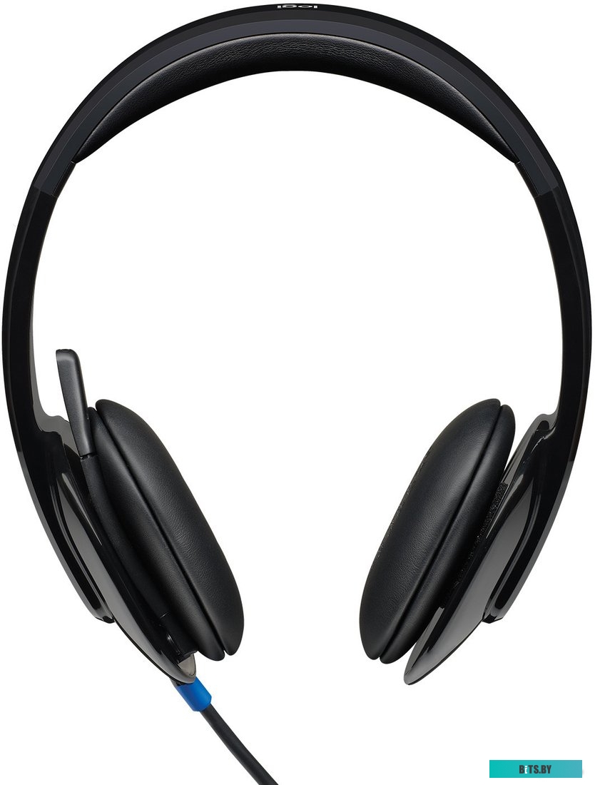 Наушники (Гарнитура) Logitech USB Headset H540 (981-000480)